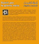 Guérir par la graine noire (Al-habba As-sawda) - Synthèse de la médecine moderne et ancienne – Image 3