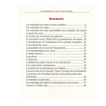 Les Maladies Du Cœur, De Shaykh Al-Islâm Ibn Taymiyyah (3ème Édition) – Image 2