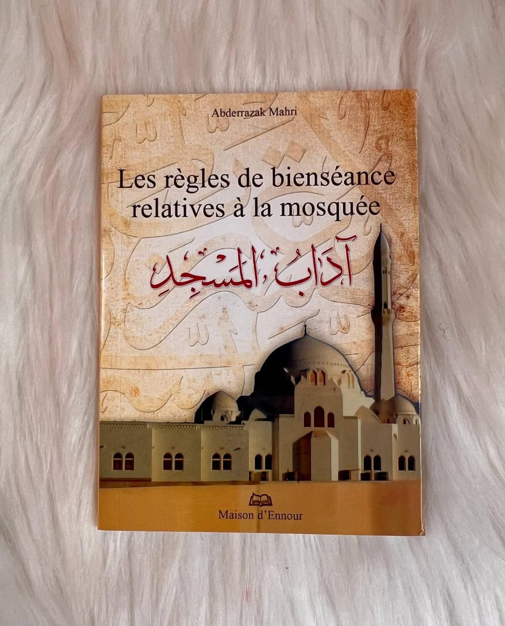 Regles-de-bienseances-relatives-a-la-mosquee.jpg Regles de bienseances relatives a la mosquee - senlibrairie